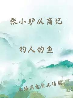 張小驢從商記