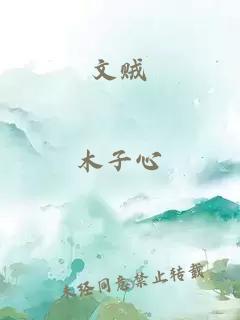 文賊