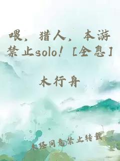 喂，獵人，本游禁止solo！[全息]
