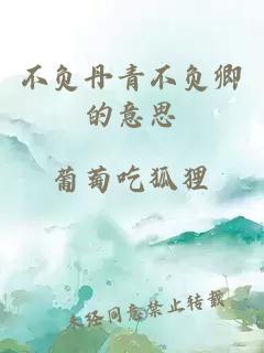 不負丹青不負卿的意思
