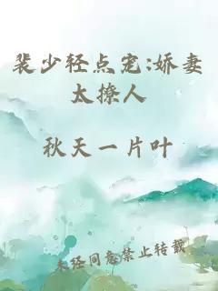 楚夏的拼音