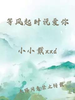 等風(fēng)起時(shí)說(shuō)愛(ài)你