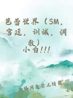 芭蕾世界（SM，宮廷，訓誡，調教）