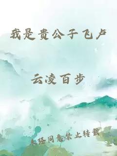 我是貴公子飛盧