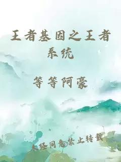 王者基因之王者系統