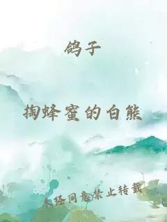 鴿子
