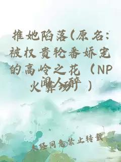 推她陷落(原名:被權貴輪番嬌寵的高嶺之花（NP火葬場(chǎng)）)