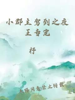 小郡主駕到之夜王專(zhuān)寵