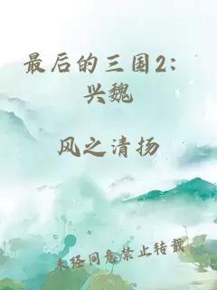 最后的三國2：興魏
