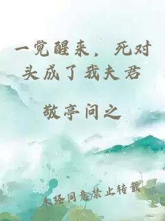 一覺(jué)醒來(lái)，死對頭成了我夫君