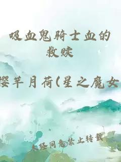 吸血鬼騎士血的救贖