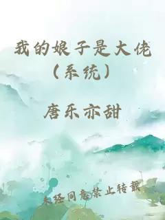 我的娘子是大佬（系統）