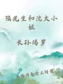 陸先生和沈大小姐