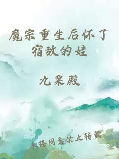 魔宗重生后懷了宿敵的娃