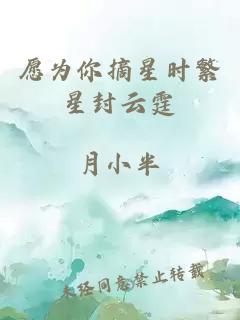 愿為你摘星時(shí)繁星封云霆