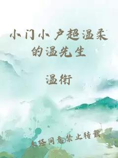 小門(mén)小戶(hù)超溫柔的溫先生