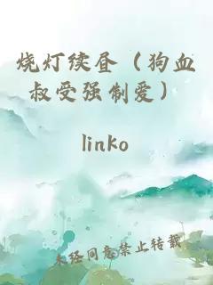 燒燈續晝（狗血叔受強制愛(ài)）