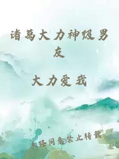 諸葛大力神級男友