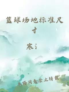 籃球場(chǎng)地標準尺寸