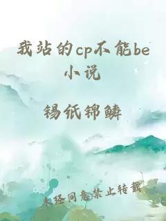 我站的cp不能be小說(shuō)