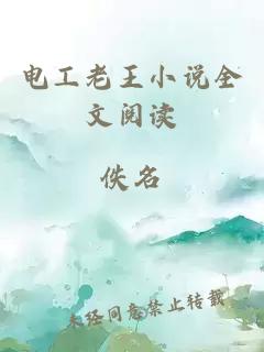 電工老王小說(shuō)全文閱讀