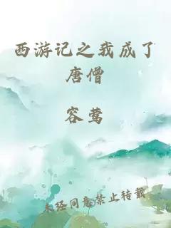 西游記之我成了唐僧