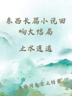 東西長(cháng)篇小說(shuō)回響大結局