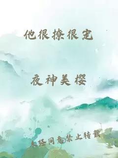 他很撩很寵