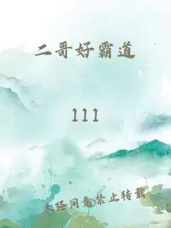 二哥好霸道