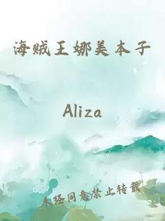 海賊王娜美本子