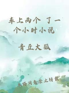 車(chē)上兩個(gè) 了一個(gè)小時(shí)小說(shuō)