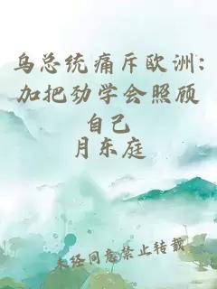 烏總統痛斥歐洲:加把勁學(xué)會(huì )照顧自己