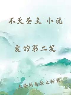 不滅圣主 小說(shuō)