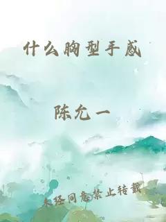 什么胸型手感
