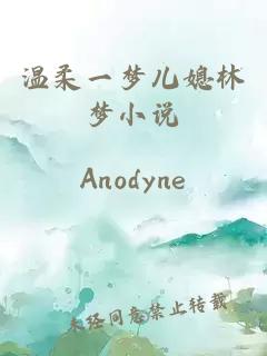溫柔一夢(mèng)兒媳林夢(mèng)小說(shuō)