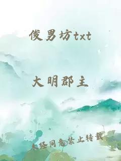 俊男坊txt