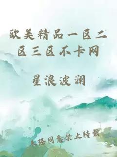 歐美精品一區二區三區不卡網(wǎng)