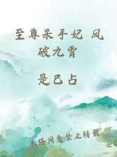 至尊殺手妃 鳳破九霄