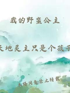 我的野蠻公主