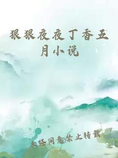 狠狠夜夜丁香五月小說(shuō)