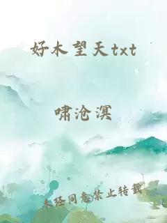 好木望天txt
