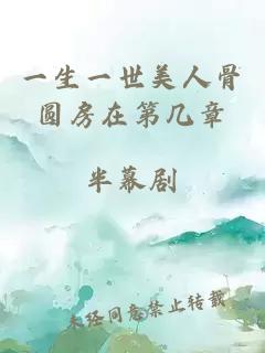 一生一世美人骨圓房在第幾章