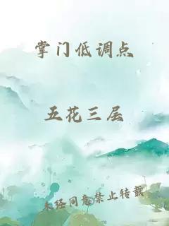 掌門(mén)低調點(diǎn)