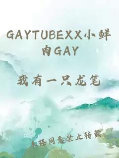 GAYTUBEXX小鮮肉GAY