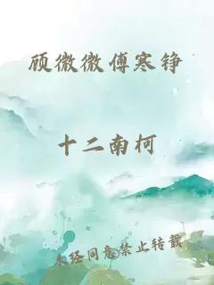 顧微微傅寒錚