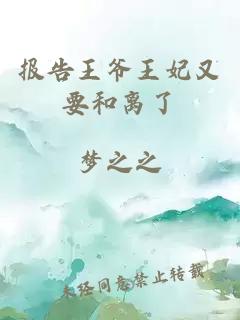 報告王爺王妃又要和離了
