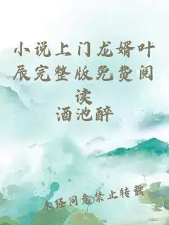 小說(shuō)上門(mén)龍婿葉辰完整版免費閱讀