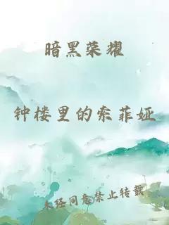 暗黑榮耀