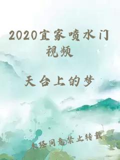 2020宜家噴水門(mén)視頻