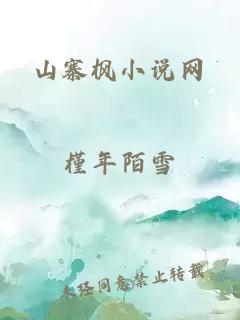 山寨楓小說(shuō)網(wǎng)